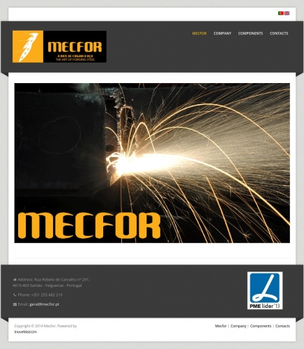 Website Mecfor